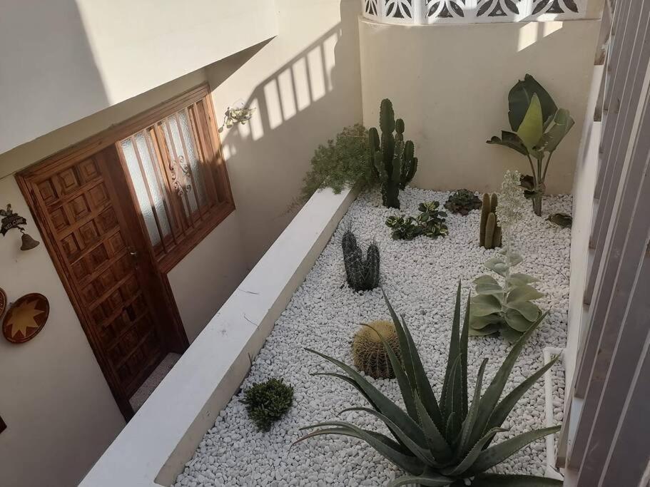 Casa Las Pencas De Margarita Los Realejos Eksteriør billede