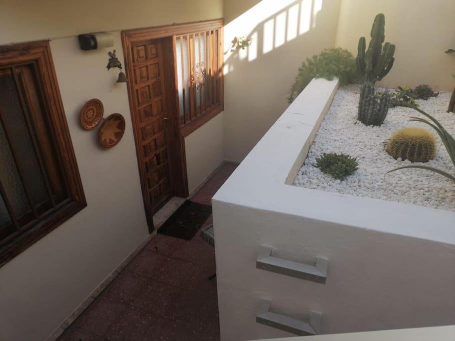 Casa Las Pencas De Margarita Los Realejos Eksteriør billede